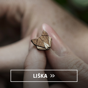 liska_final